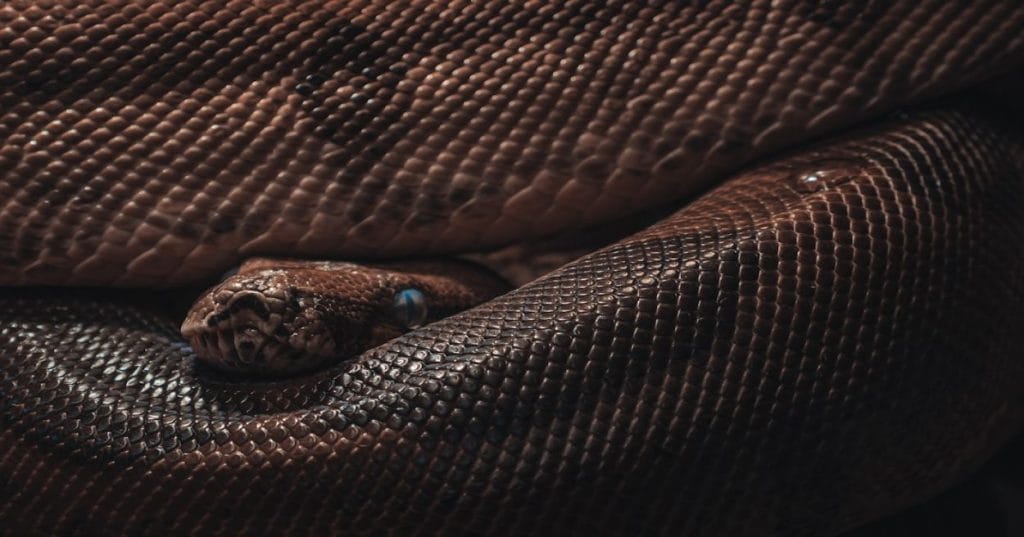 Descubra como a Inteligência Artificial e Python podem revolucionar a seleção de talentos para projetos de vídeo, otimizando o processo de casting e encontrando os candidatos ideais.